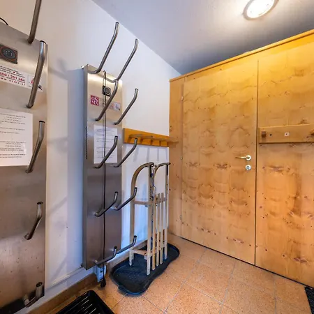 Schoeneben Steinlinge Wald im Pinzgau