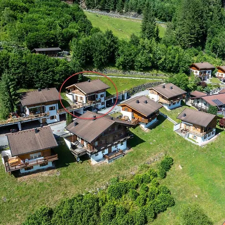 Schoeneben Steinlinge *