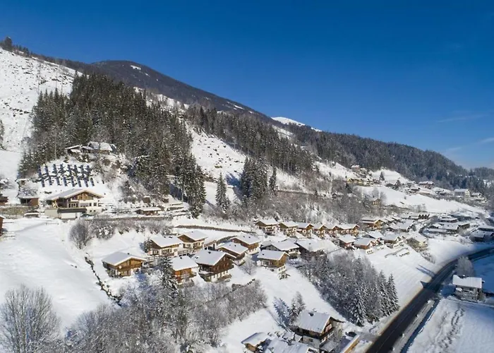Schoeneben Steinlinge Tatil Evi Wald im Pinzgau
