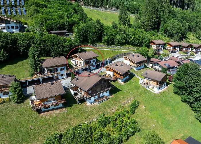 Schoeneben Steinlinge *